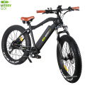 Paladin 48V 350W Lithium Battery Fat Tire Electric Snow Bicycle